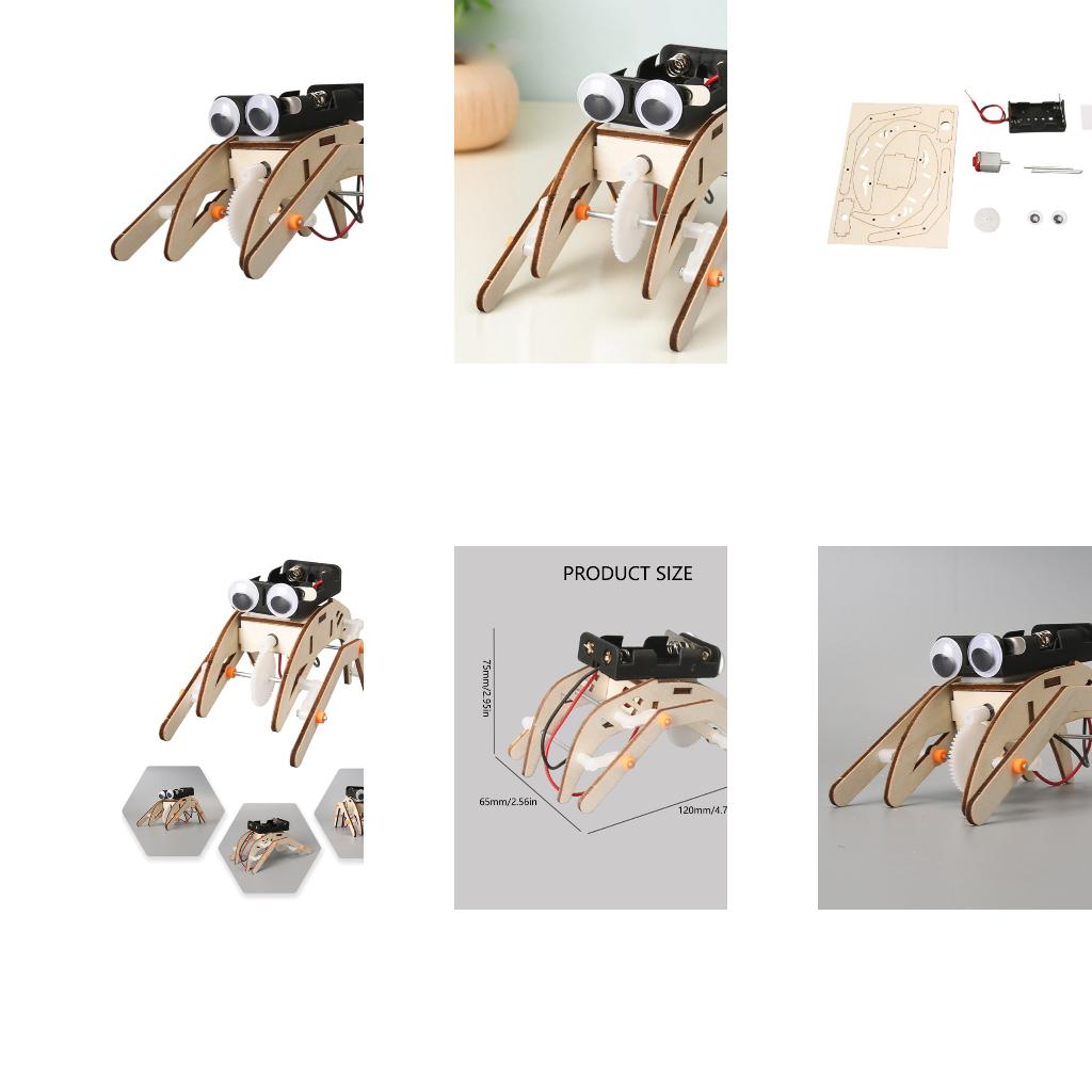 Science Project Physics - Progetto esperimento fisica sugli insetti meccanici