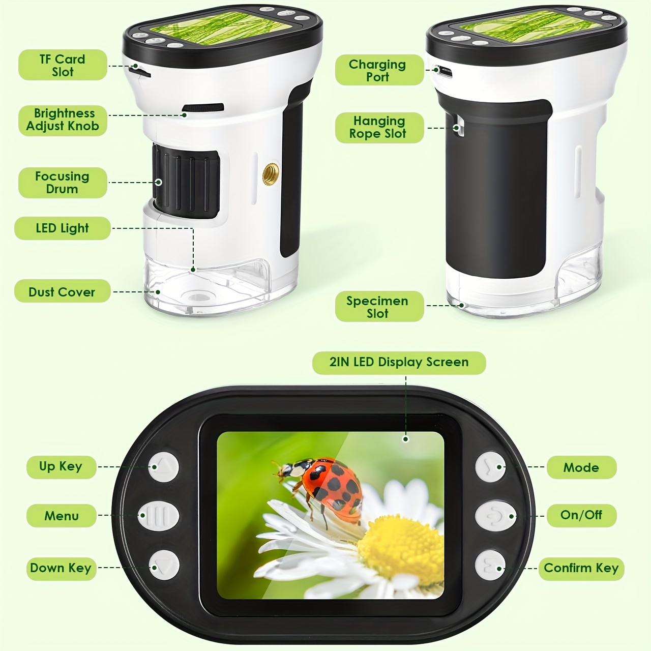 Kit Microscopio Biologico per  - Science Max recensione e prezzo